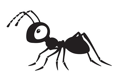 Bugging Out: Common Insects in Southwest Florida Pools and How to Protect Your Oasis Bugging Out: Common Insects in Southwest Florida Pools and How to Protect Your Oasis